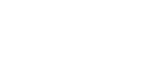 Ingram Micro