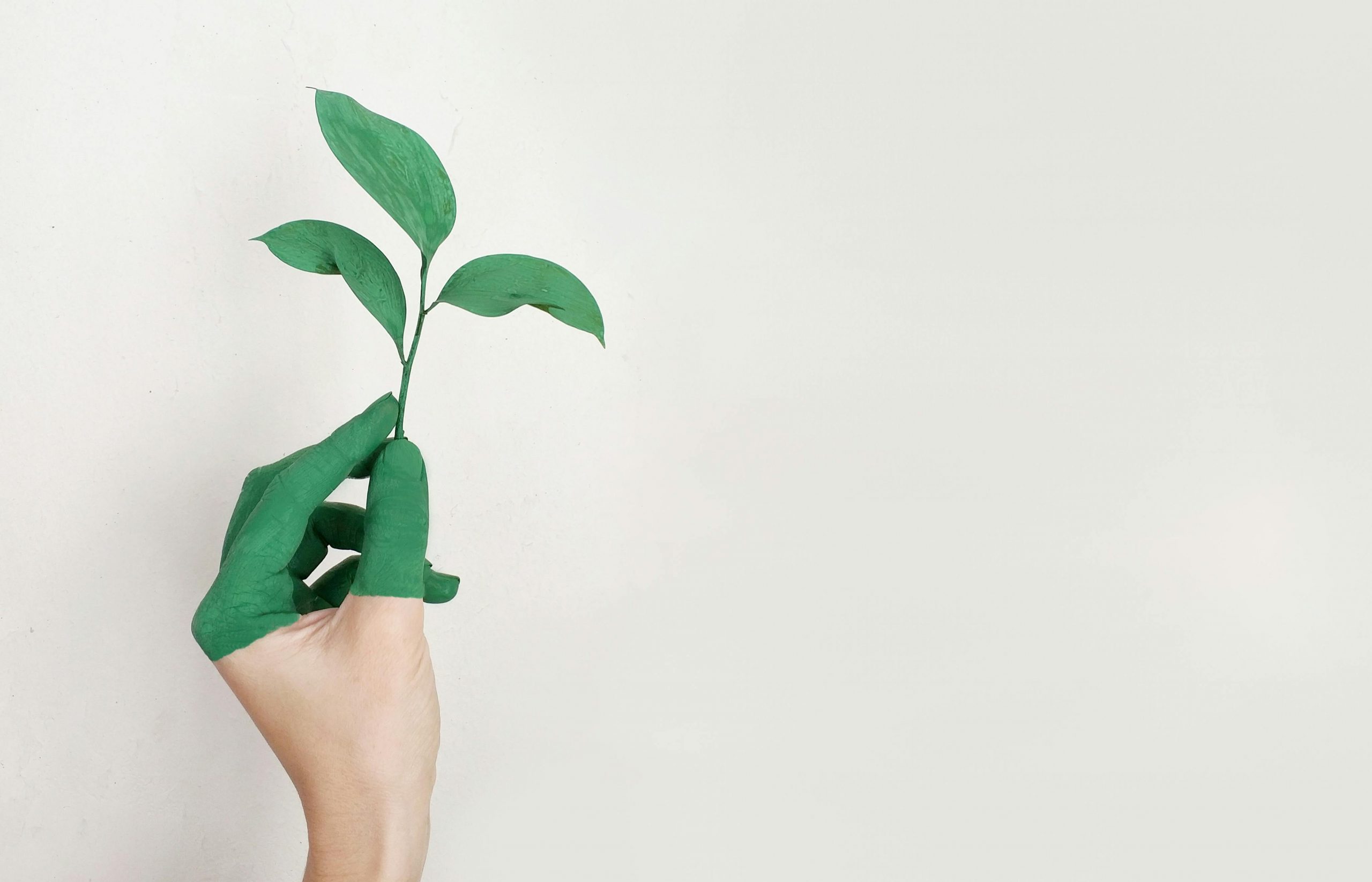 The Need For More Sustainable Events